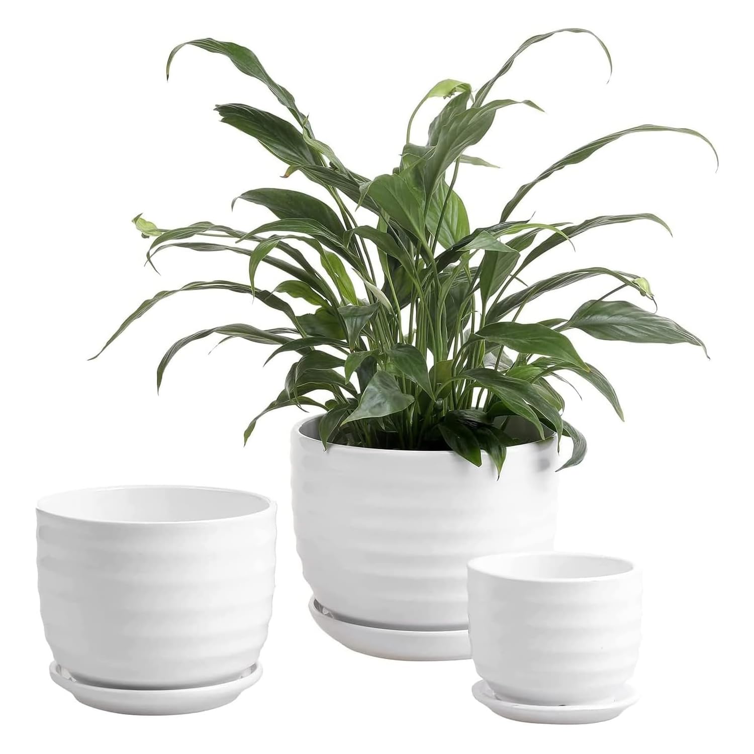 Amazon.co.jp: MyGift モダン リブ編み ホワイトセラミック 屋内植木鉢